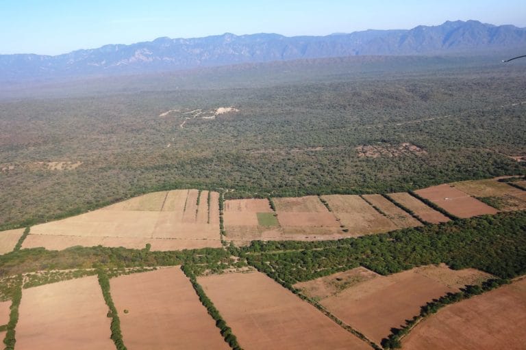 El modelo de desarrollo cruceño genera ingresos económicos, pero no sería sostenible por los impactos al medio ambiente