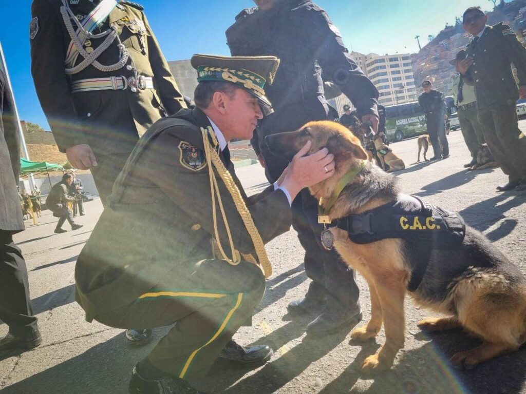 Diez canes de la Policía Boliviana son jubilados tras años de servicio y serán adoptados por familias