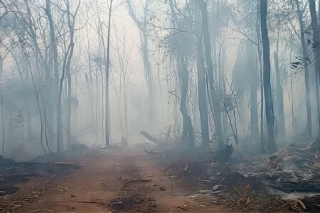Gobierno busca endurecer las penas contra los provocadores de incendios