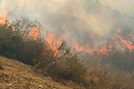 Incendios: Gobierno evalúa alquilar avión tanquero y helicópteros