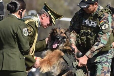 El perrito Rex es condecorado por la Policía Boliviana y ahora se incorpora a la FELCN