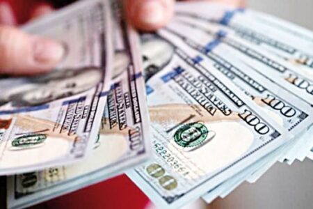 Importadores piden estabilidad del dólar y que baje a Bs 9 ante el encarecimiento de productos